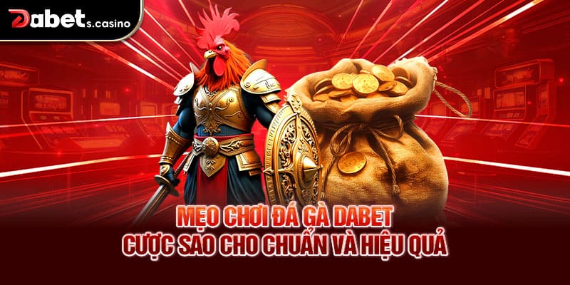 Mẹo chơi đá gà Dabet – Cược sao cho chuẩn và hiệu quả