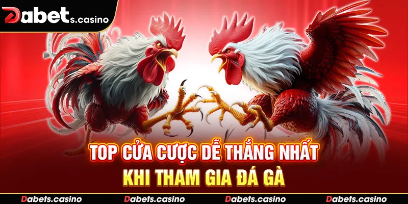 Top cửa cược dễ thắng nhất khi tham gia đá gà