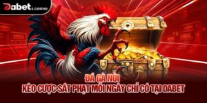 Đá Gà Nòi – Kèo Cược Sát Phạt Mỗi Ngày Chỉ Có Tại Dabet