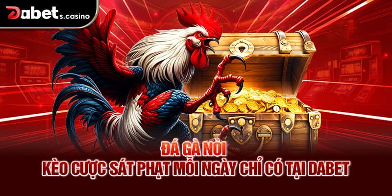 Đá Gà Nòi – Kèo Cược Sát Phạt Mỗi Ngày Chỉ Có Tại Dabet